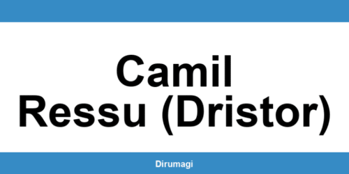 Contactează DIGI în Camil Ressu (Dristor) prin numărul de telefon disponibil
