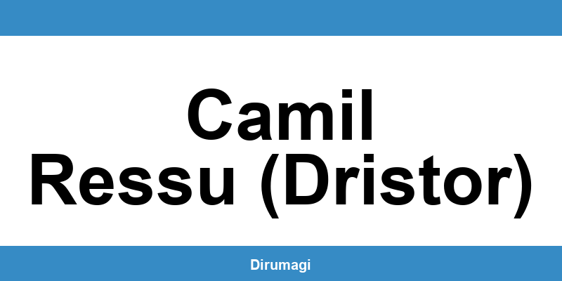 Contactează DIGI în Camil Ressu (Dristor) prin numărul de telefon disponibil