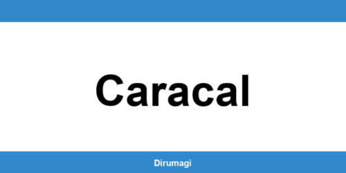 Contactează DIGI în Caracal prin numărul de telefon disponibil
