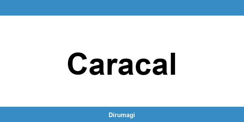 Contactează DIGI în Caracal prin numărul de telefon disponibil