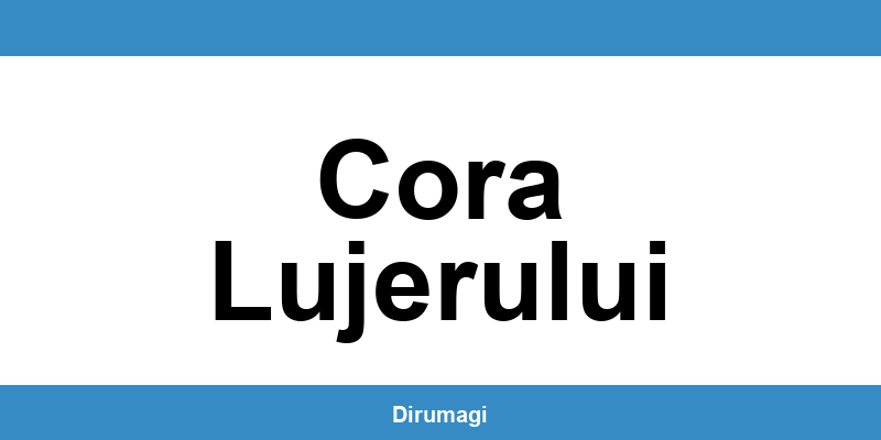 Contactează DIGI în Cora Lujerului prin numărul de telefon disponibil