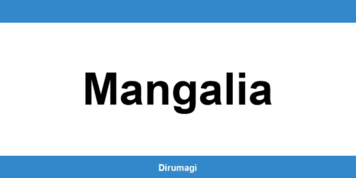 Contactează DIGI în Mangalia prin numărul de telefon disponibil