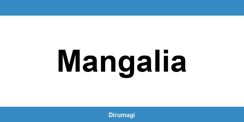 Contactează DIGI în Mangalia prin numărul de telefon disponibil