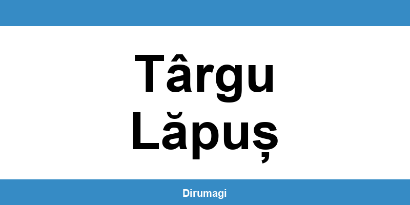 Contactează DIGI în Târgu Lăpuș prin numărul de telefon disponibil