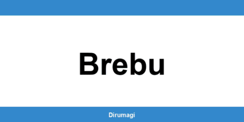 Contactează DIGI în Brebu prin numărul de telefon disponibil