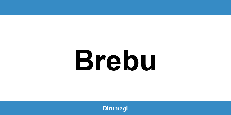 Contactează DIGI în Brebu prin numărul de telefon disponibil