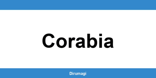Contactează DIGI în Corabia prin numărul de telefon disponibil