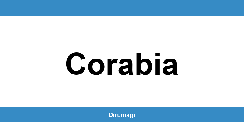 Contactează DIGI în Corabia prin numărul de telefon disponibil