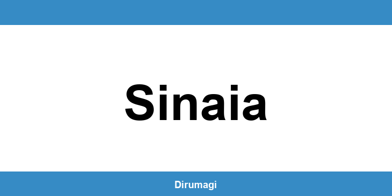 Contactează DIGI în Sinaia prin numărul de telefon disponibil
